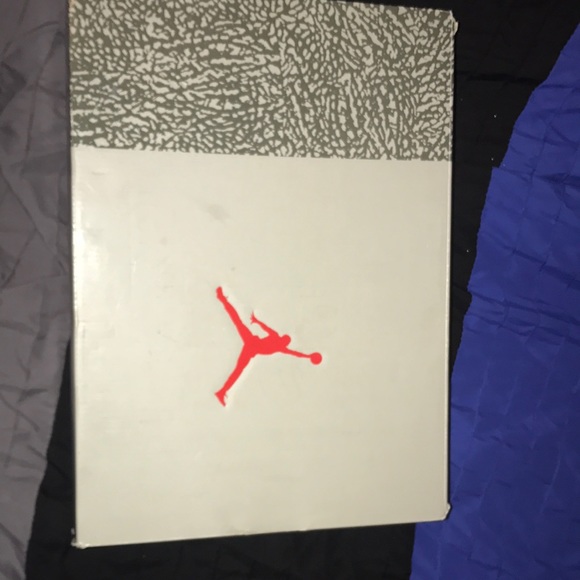 Jordan 3 “ Cool Grey “